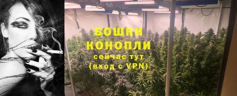 Канабис THC 21%  купить  цена  Шадринск 